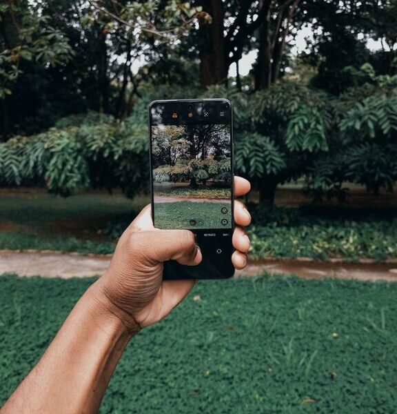 Beginner Tips for Taking Better Phone Photos