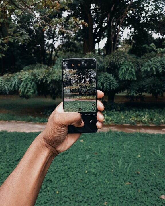Beginner Tips for Taking Better Phone Photos